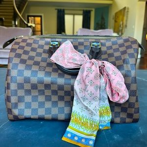 Louis Vuitton Monogram Speedy Bag